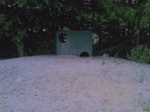 IMG_20130519_104653.jpg