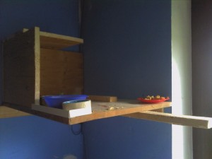 IMG_20130531_182345.jpg