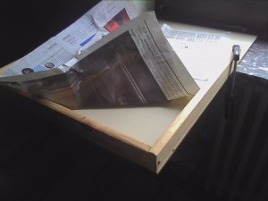 IMG_20130531_182635.jpg