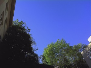 IMG_20130604_081027.jpg